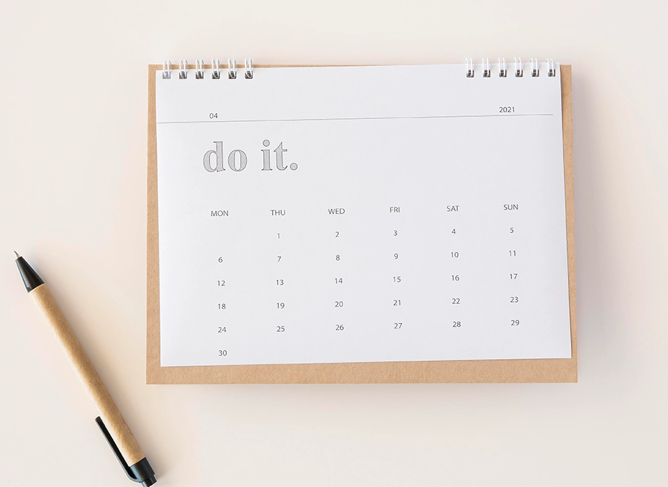 김해시 도심 속의 작은 소나무 숲